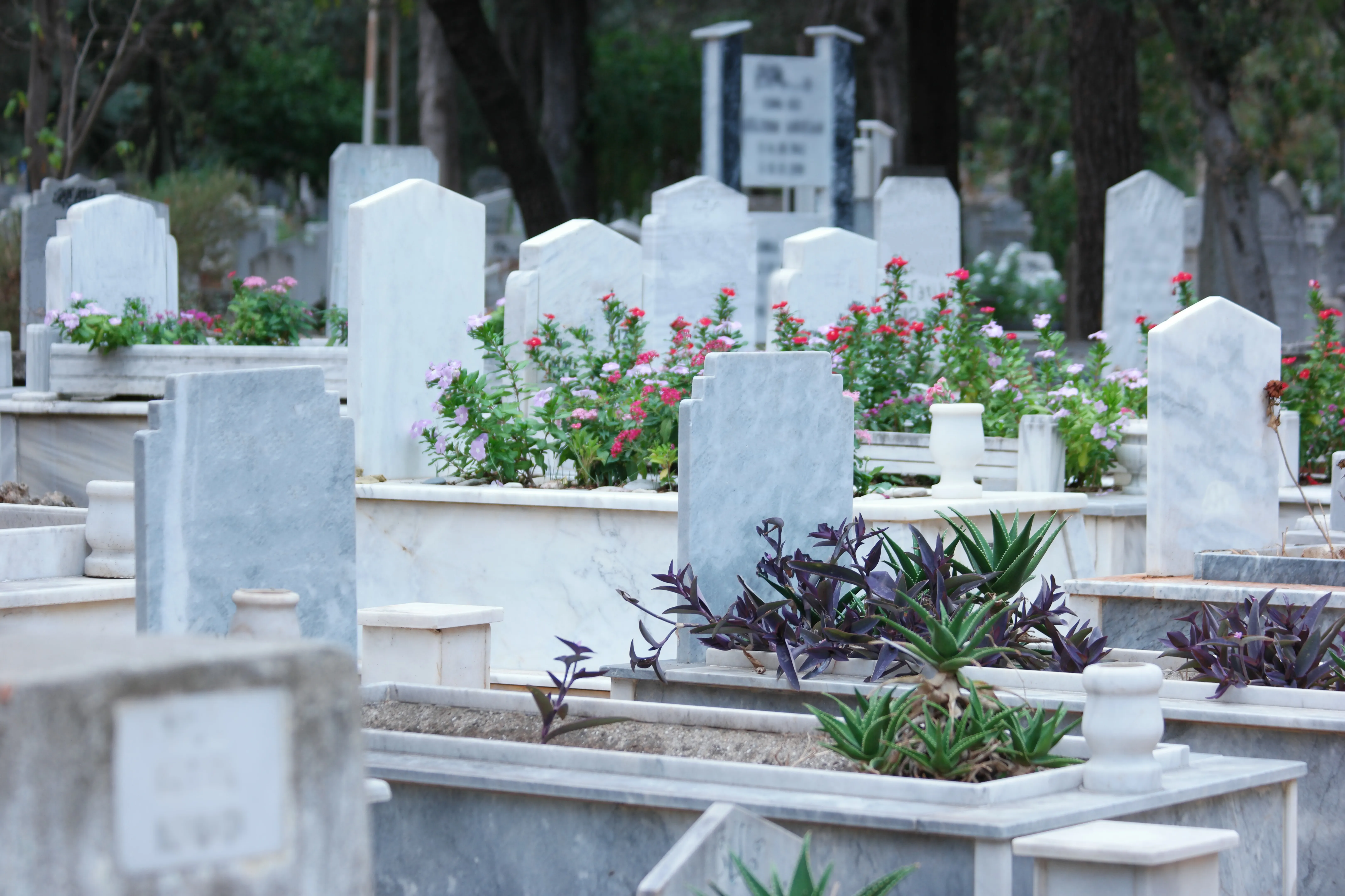 Monuments funéraires en marbre blanc dans un cimetière fleuri